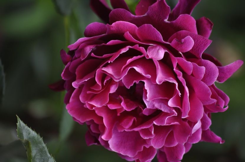 _DSC0159 - VARA 2021_2