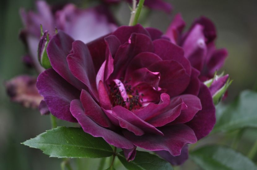 _DSC0163 - VARA 2021_2