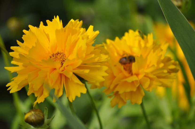 _DSC0182 - VARA 2021_2