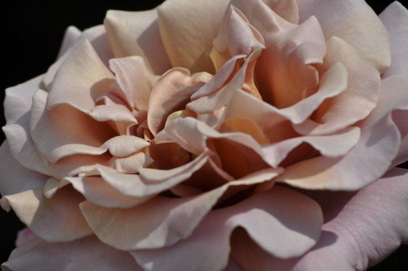 _DSC0224 - VARA 2021_2