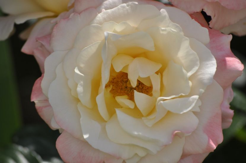 _DSC0234 - VARA 2021_2