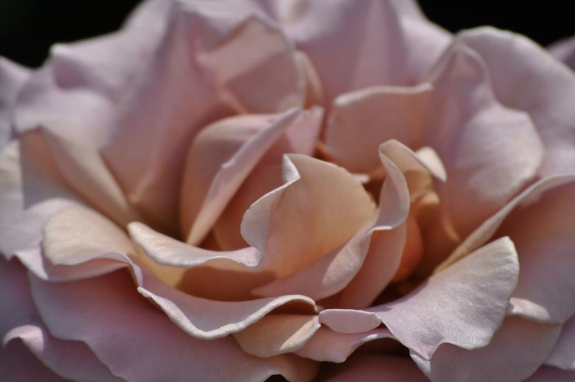 _DSC0250 - VARA 2021_2