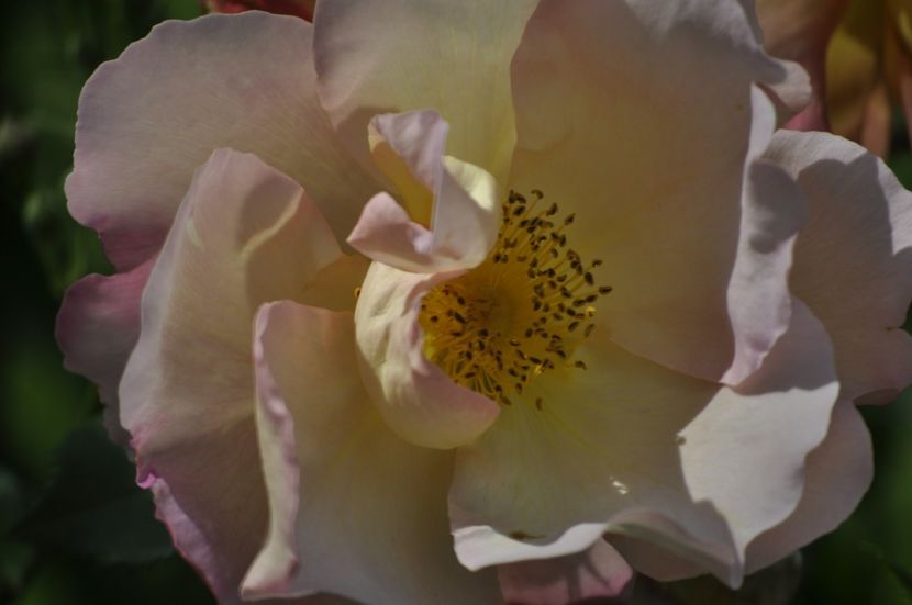 _DSC0301 - VARA 2021_2