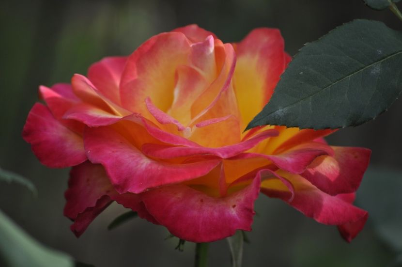 _DSC0327 - VARA 2021_2