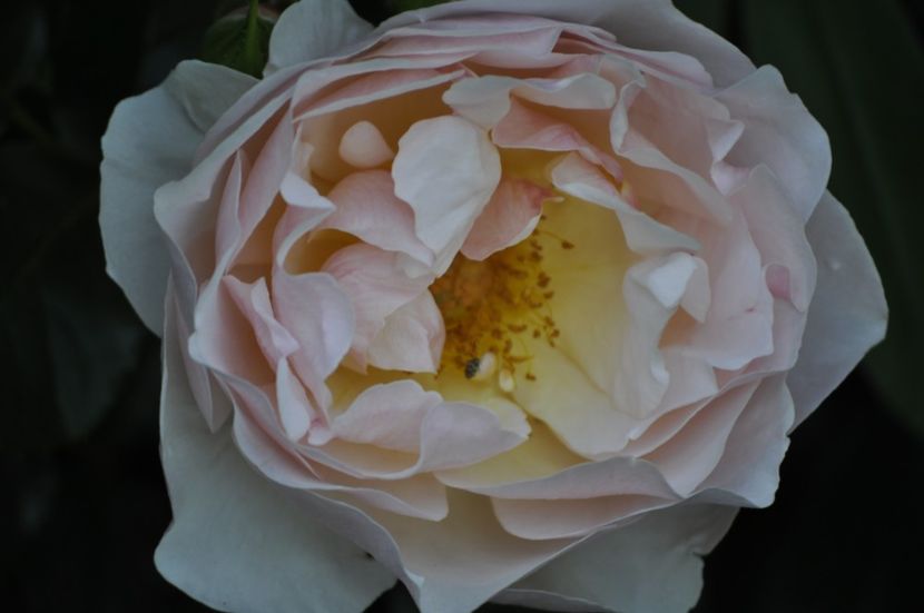 _DSC0402 - VARA 2021_3