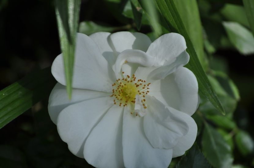 _DSC0457 - VARA 2021_3