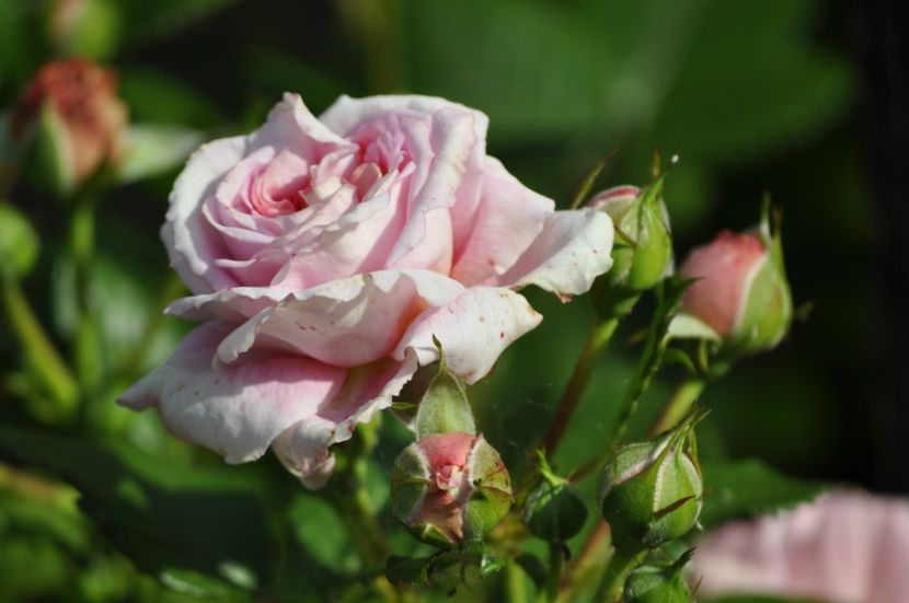 _DSC0484 - VARA 2021_3