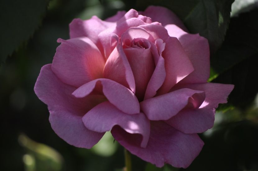 _DSC0490 - VARA 2021_3