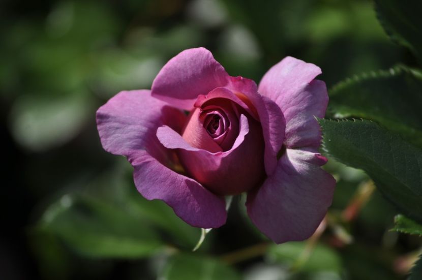 _DSC0491 - VARA 2021_3