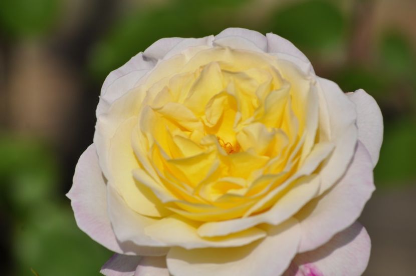 _DSC0503 - VARA 2021_3