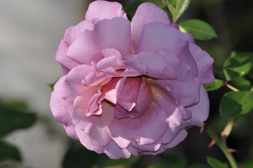 _DSC0013 - VARA 2021_3