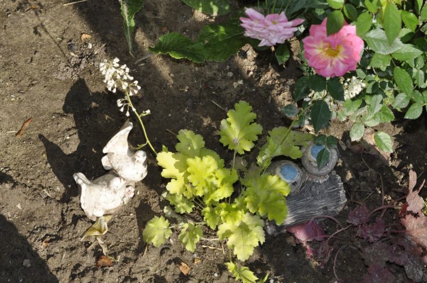 _DSC0113 - VARA 2021_3