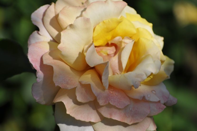 _DSC0136 - VARA 2021_3