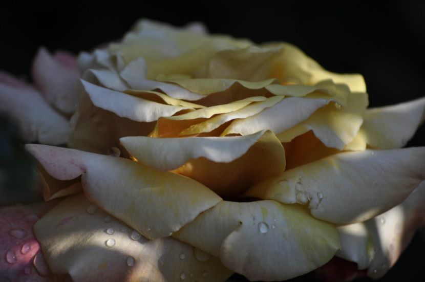 _DSC0138 - VARA 2021_3