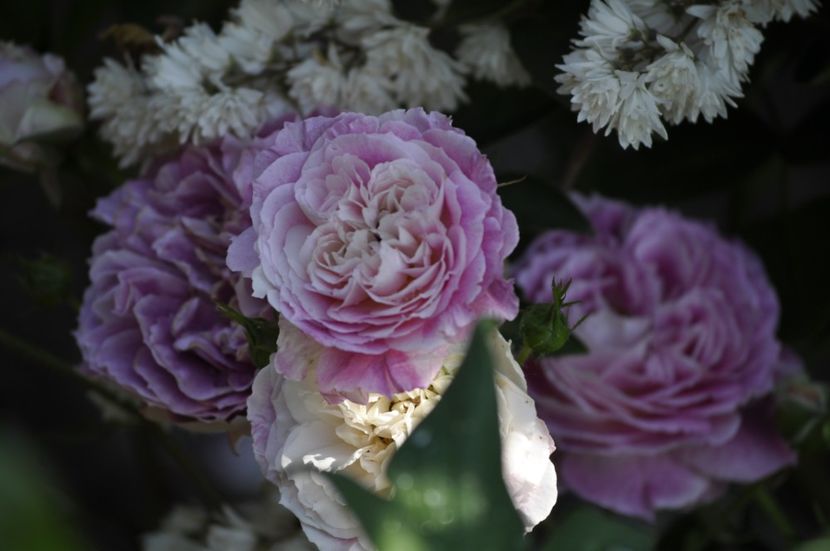 _DSC0143 - VARA 2021_3