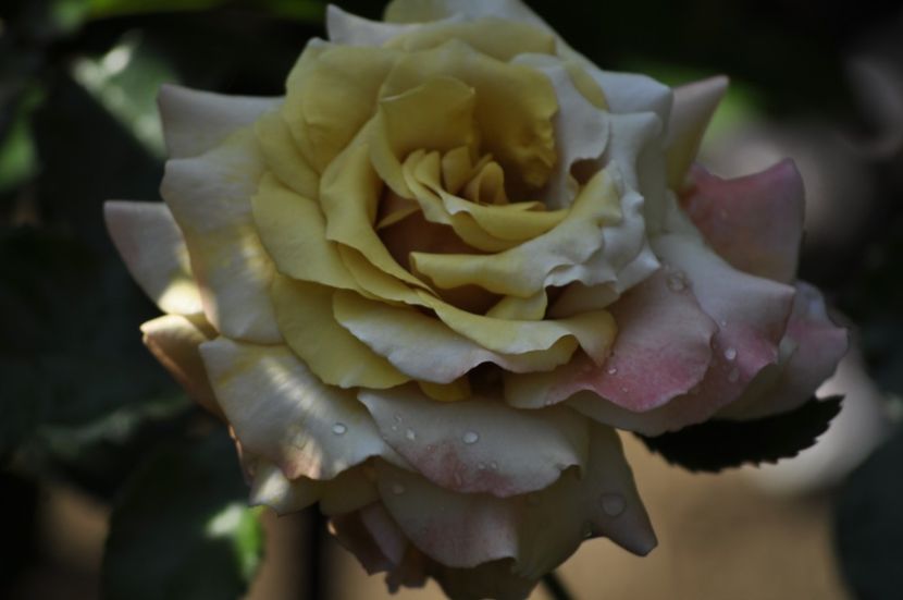 _DSC0147 - VARA 2021_3