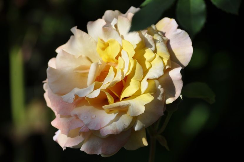 _DSC0148 - VARA 2021_3