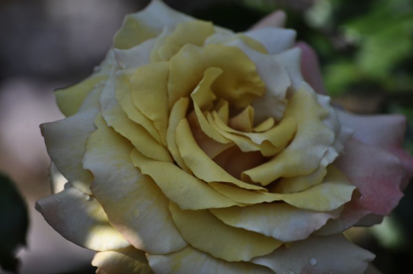 _DSC0150 - VARA 2021_3