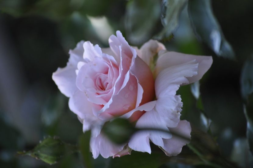 _DSC0152 - VARA 2021_3