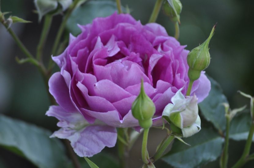 _DSC0154 - VARA 2021_3