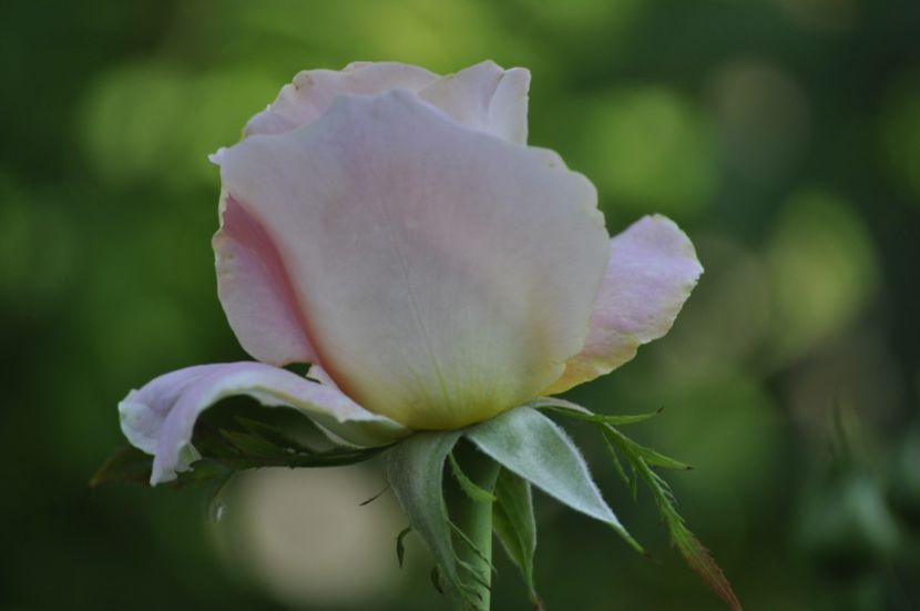 _DSC0211 - VARA 2021_3