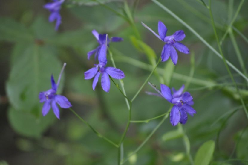 _DSC0307 - VARA 2021_3