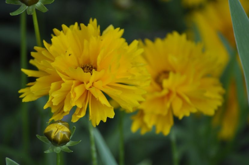 _DSC0324 - VARA 2021_3