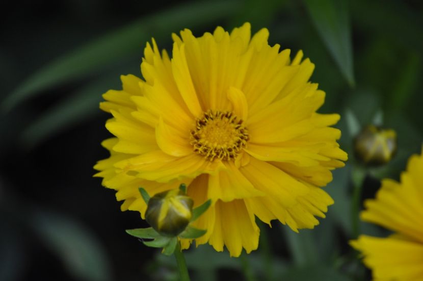 _DSC0325 - VARA 2021_3