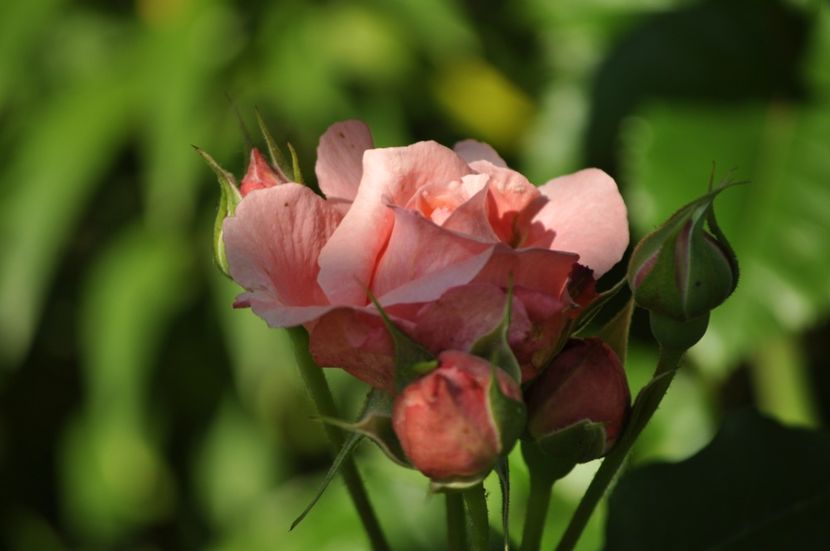 _DSC0345 - VARA 2021_3