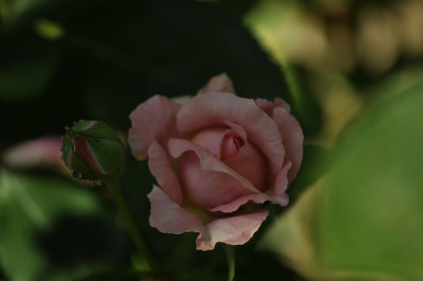 _DSC0346 - VARA 2021_3