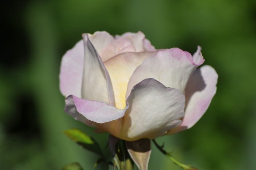 _DSC0358 - VARA 2021_3