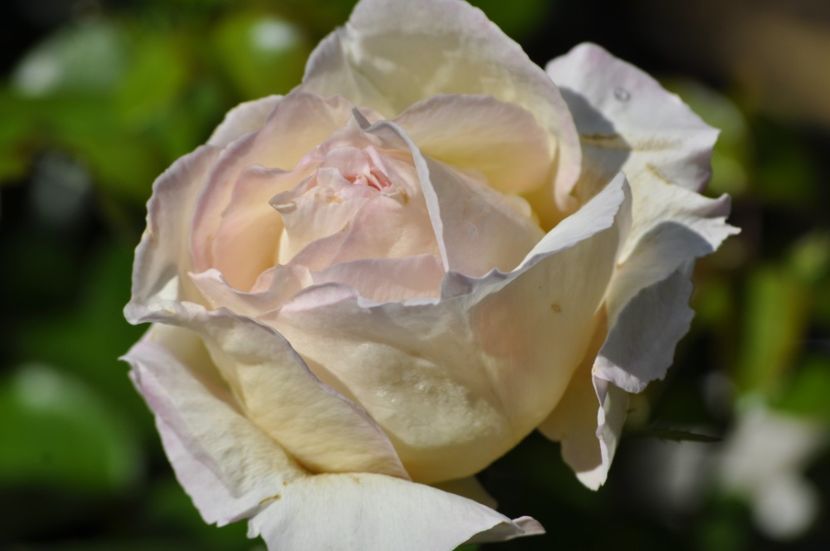 _DSC0360 - VARA 2021_3