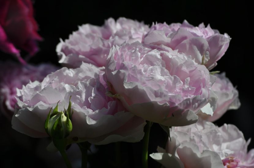 _DSC0382 - VARA 2021_3