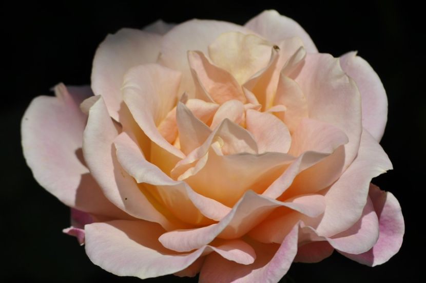 _DSC0632 - VARA 2021_4