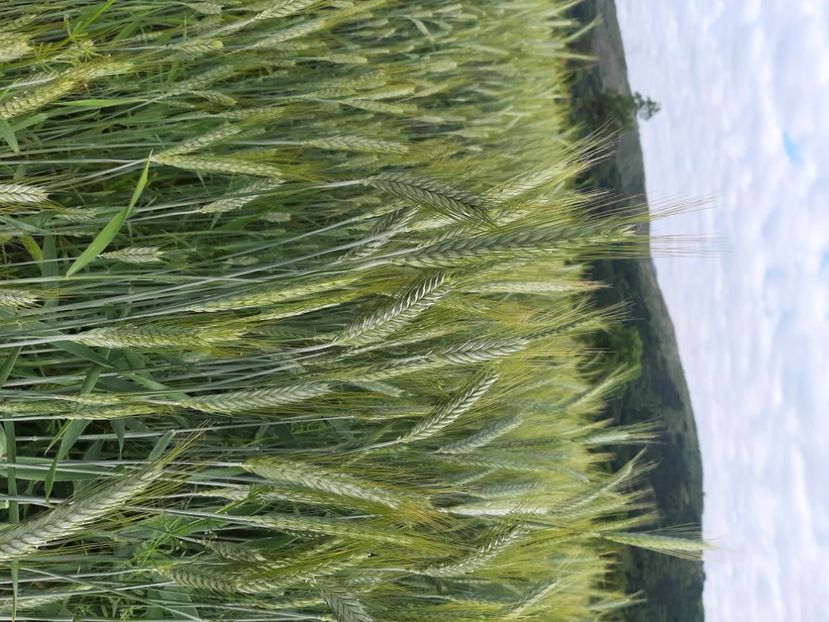  - La țară în iunie 2021