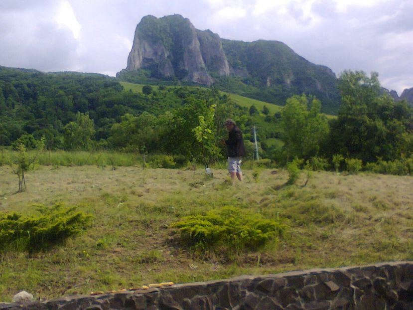 Fotografie6119 - 2021 REMETEA 8-13 IUNIE Bunicu la coasă