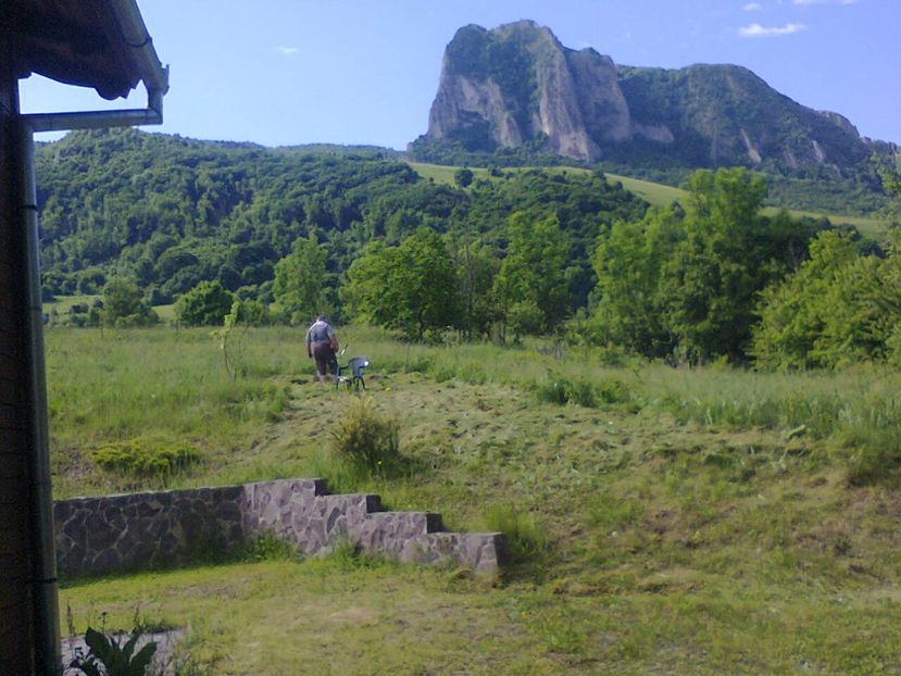 Fotografie6099 - 2021 REMETEA 8-13 IUNIE Bunicu la coasă