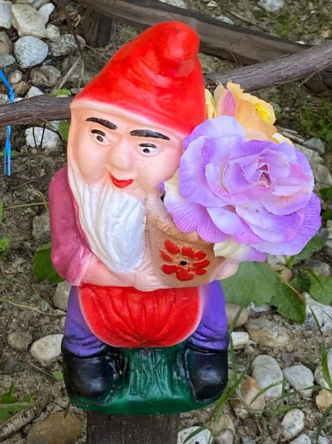 49FA1C95-9EF0-49A4-8375-9050EFAFEF4C - De prin gradina