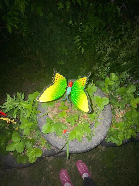 CBFC4A0F-596C-449F-97F4-C5BAEA78DF16 - De prin gradina