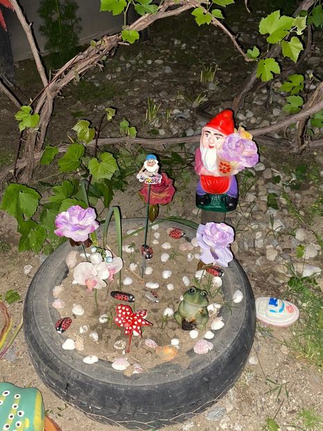 886BCFBB-F35C-44F5-A430-E26CA83C00F7 - De prin gradina