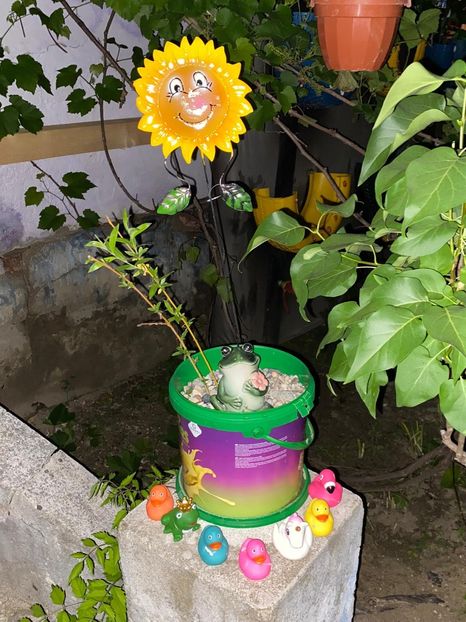 E39A7321-0A65-44E7-B215-9600FAF91A66 - De prin gradina