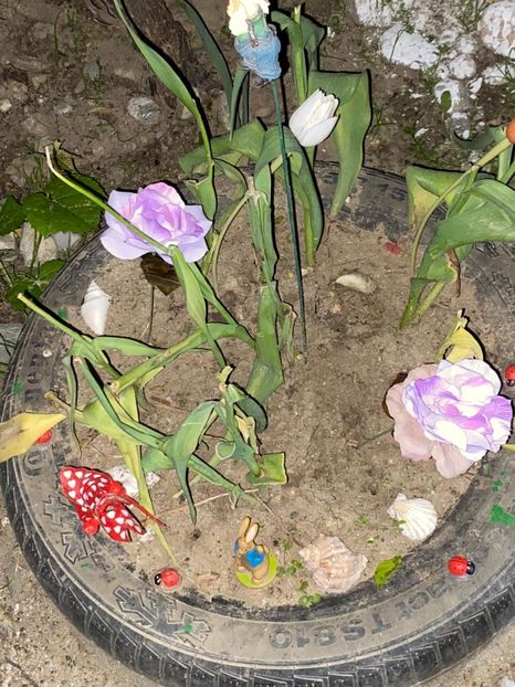 1806F7BD-B1FC-4AA0-BE77-9D6B31EF0659 - De prin gradina