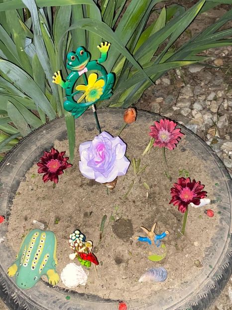 4F06B850-050A-4D06-949B-84982BEA9B9F - De prin gradina