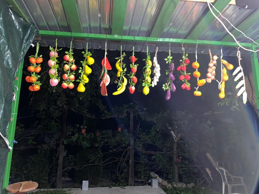 EE5A3888-8266-4F98-8C34-854947EBFDE3 - De prin gradina