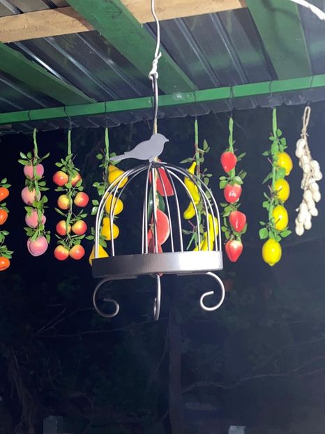 80D4FB36-87AD-47DD-88BB-3F8449B1DC4D - De prin gradina