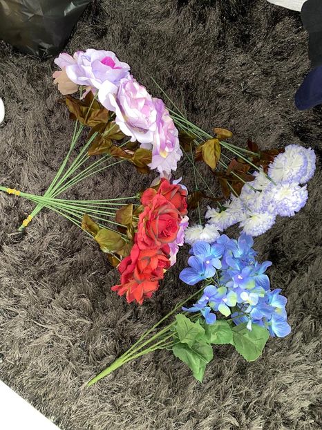 4BACAFD9-C6FB-4B6D-AAE0-A6F5F7E469EB - Achiziții de gradina 2021