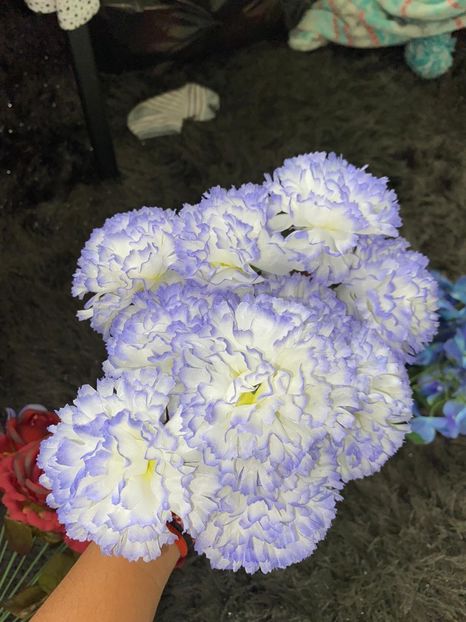 AA0D2C55-7643-4F0F-AC88-723A06F233B3 - Achiziții de gradina 2021