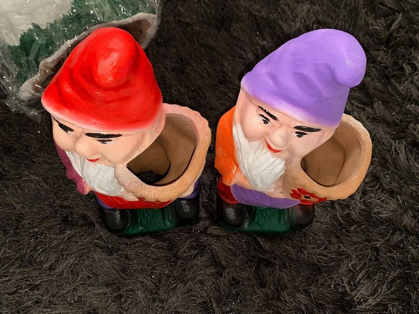 2706B7EF-6BA0-4DED-B6A5-B3A6EEF0183A - Achiziții de gradina 2021