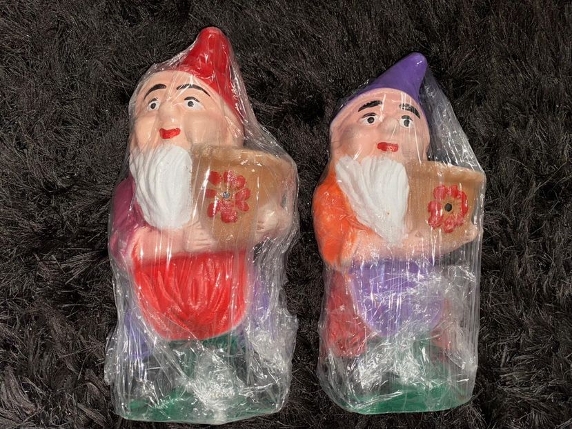 D35FC93D-C72F-48FF-9AD3-9A6D14D64C79 - Achiziții de gradina 2021