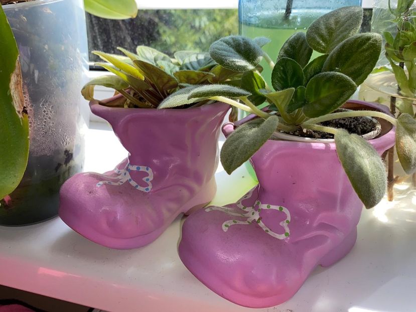 2CEF06C0-6DB8-4A64-A1EF-4DB45593E8F3 - FLORILE MELE 2021 nr 1